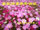 ֹ,󷨵ӹףʦ֣19
