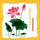 ֹ,ϴ󷨵ӹףʦã28
