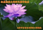 ֹ,󷨵ӹףʦ(25)
