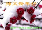 法轮功,成都大法弟子恭祝师尊新年快乐（18条）
