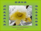 ֹ,󷨵ӹףʦã19
