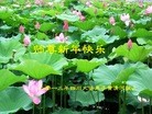 Published on 2/13/2013 ֹ,½󷨵ӹףʦ֣25
