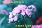 Published on 2/11/2013 ֹ,½󷨵ӹףʦã20
