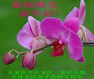 ֹ,ʯׯ󷨵ӹףʦã17
