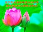 ֹ,󷨵ӹףʦã24

