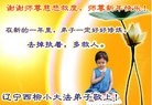 法轮功,辽宁大法弟子恭祝师尊过年好(24条)
