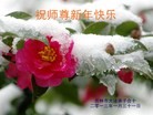 法轮功,吉林市大法弟子恭祝师尊新年快乐(21条)
