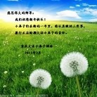 法轮功,重庆大法弟子恭祝师尊新年快乐(29条)
