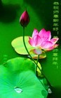 ֹ,Ĵ󷨵ӹףʦ֣54
