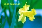 ֹ,ɽд󷨵ӹףʦã28
