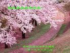 ֹ,ʡ󷨵ӹףʦ֣24
