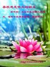 Published on 2/12/2013 ֹ,ϵͳ󷨵ӹףʦã29
