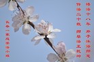 ֹ,󷨵ӹףʦã15

