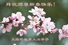 Published on 2/11/2013 ֹ,½󷨵ӹףʦ֣22
