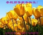 法轮功,北京大法弟子恭祝师尊新年快乐(24条)
