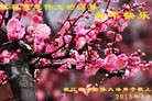 ֹ,㽭󷨵ӹףʦã17
