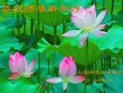 ֹ,Ϻ󷨵ӹףʦã19

