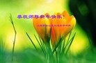 ֹ,Ϻ󷨵ӹףʦã19
