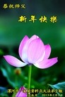 法轮功,河南大法弟子恭祝师尊过年好（14条）
