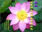 ֹ,ӱ󷨵ӹףʦã25
