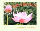 Published on 2/11/2013 ֹ,½󷨵ӹףʦ֣22
