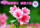 ֹ,󷨵ӹףʦ֣29
