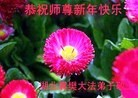 ֹ,󷨵ӹףʦ֣29
