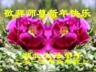 ֹ,人󷨵ӹףʦã19
