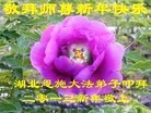 ֹ,人󷨵ӹףʦã19
