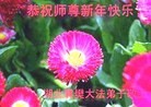 ֹ,󷨵ӹףʦã27
