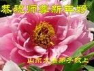 Published on 2/13/2013 ֹ,½󷨵ӹףʦ֣25
