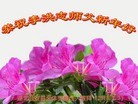 ֹ,󷨵ӹףʦ(29)
