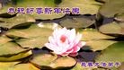 ֹ,ʡ󷨵ӹףʦ(28)
