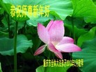 ֹ,󷨵ӹףʦã27
