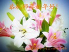 Published on 2/9/2013 ֹ,󷨵ӹףʦã19
