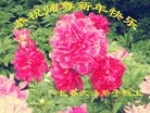 ֹ,ʡ󷨵ӹףʦ(28)

