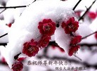 ֹ,ɽȵش󷨵ӹףʦ֣33
