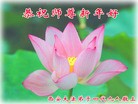 法轮功,西安大法弟子恭祝师尊新年好(28条)
