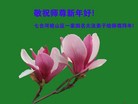 ֹ,󷨵ӹףʦ(24)
