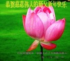 ֹ,Ϋ󷨵ӹףʦ֣19
