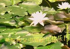 ֹ,󷨵ӹףʦ֣17
