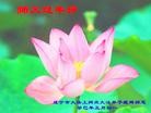 ֹ,󷨵ӹףʦ(25)
