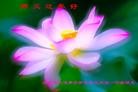 ֹ,󷨵ӹףʦ(25)
