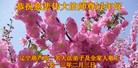 ֹ,«󷨵ӹףʦ(24)

