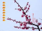 ֹ,󷨵ӹףʦ(20)
