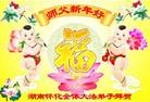 法轮功,湖南大法弟子恭祝师尊新年快乐(23条)
