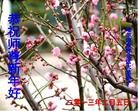 ֹ,󷨵ӹףʦ֣34
