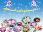 Published on 2/10/2013 ֹ,󷨵ӹףʦ֣18
