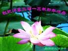 ֹ,󷨵ӹףʦ(24)
