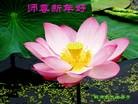 ֹ,󷨵ӹףʦ֣24
